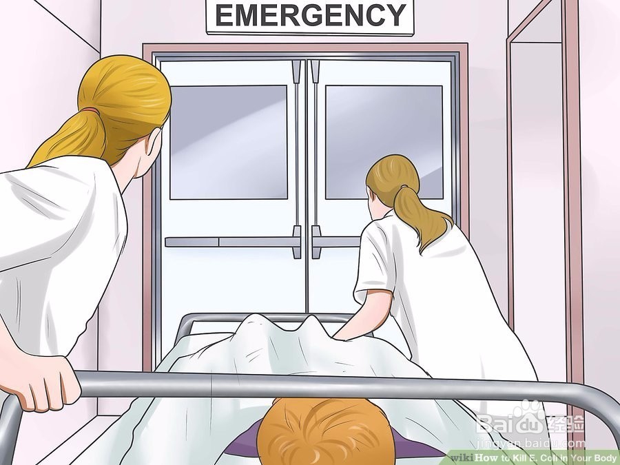 如何杀死体内的大肠杆菌