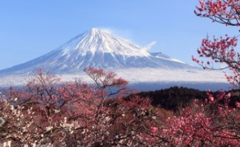 春天适合和朋友出去旅游的地方!