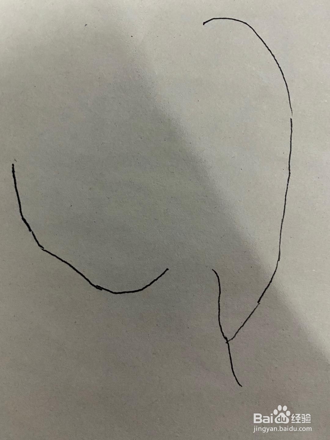 秋天的花简笔画