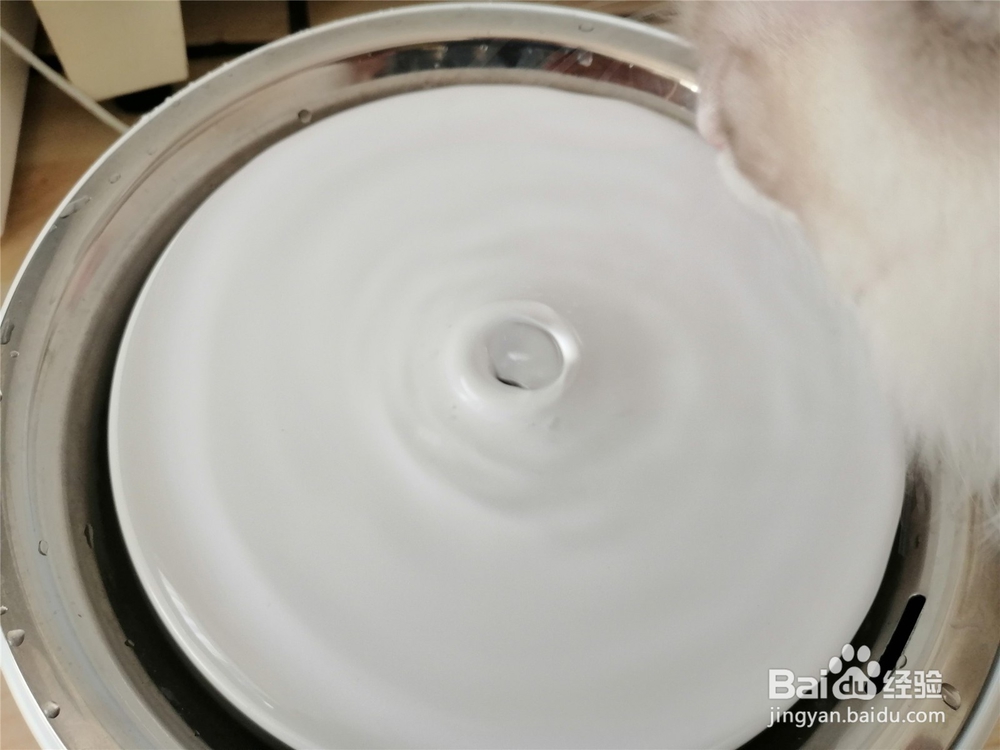 怎样清洗猫自动饮水机