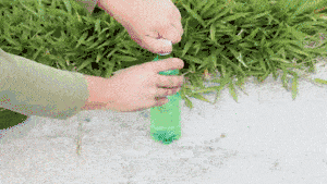 如何制作汽水瓶炸弹