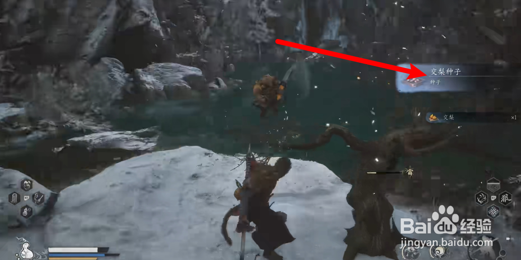 黑神话悟空怎么获得交梨种子