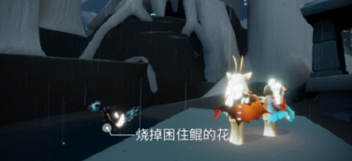 光遇11.20每日任务攻略2021