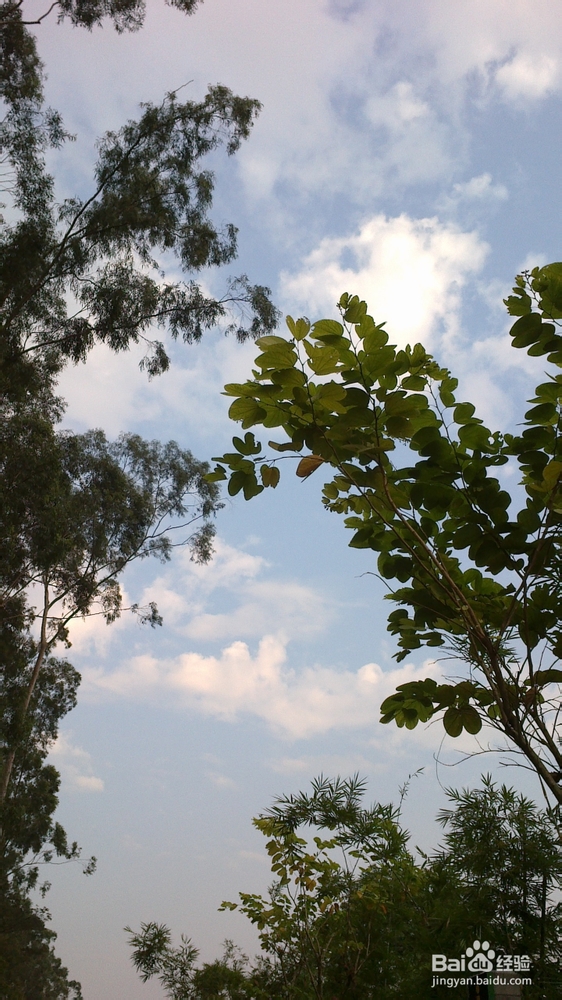 旅游指南话你知