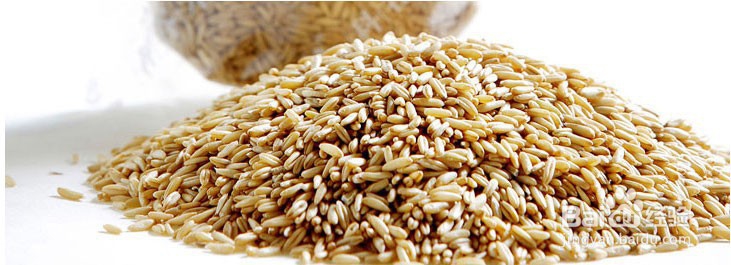 乔麦的功效与作用及食用方法