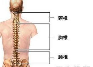 偏方让你远离疾病：[23]治失眠