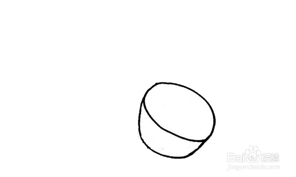 如何画一个好吃的猕猴桃？