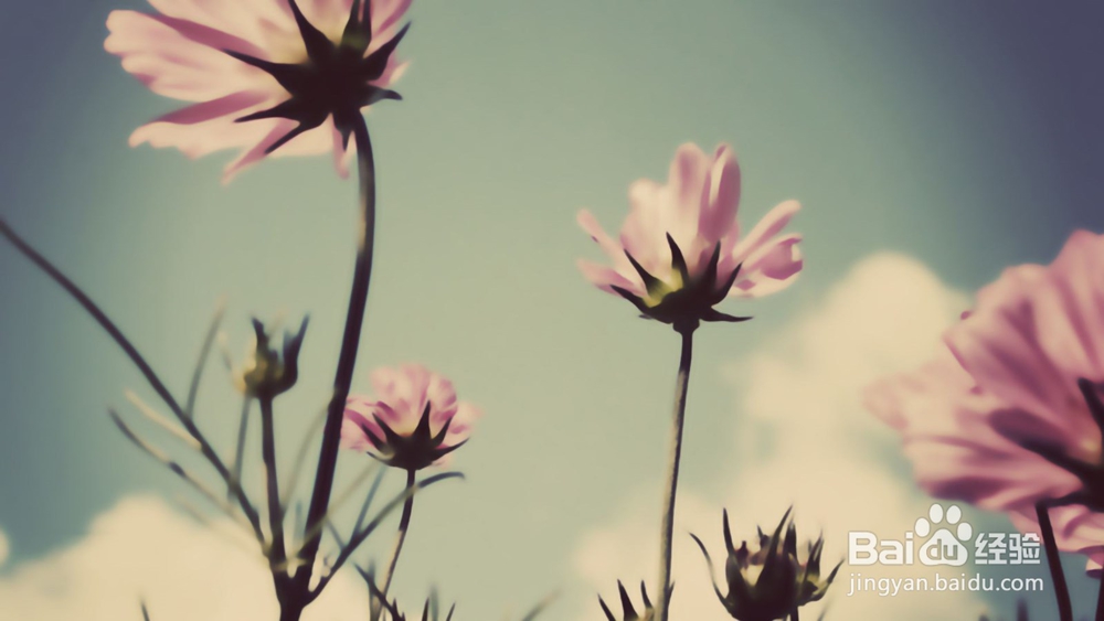 【星座】向来情深,奈何缘浅