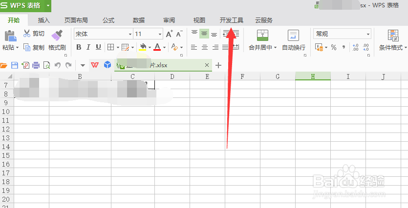 免费个人版 WPS Excel 怎么启用“宏”功能