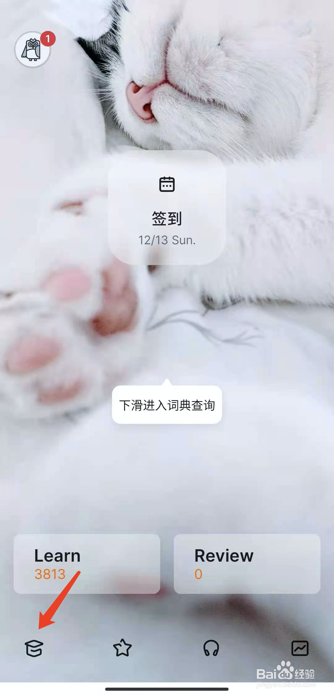 手机不背单词app怎样关闭拼写测试功能