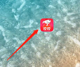 手机京东如何查看PLUS会员的详细信息？