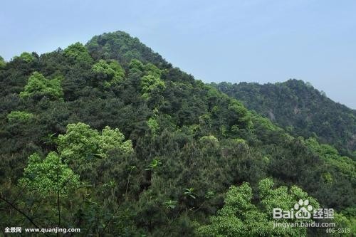 重庆歌乐山旅游攻略