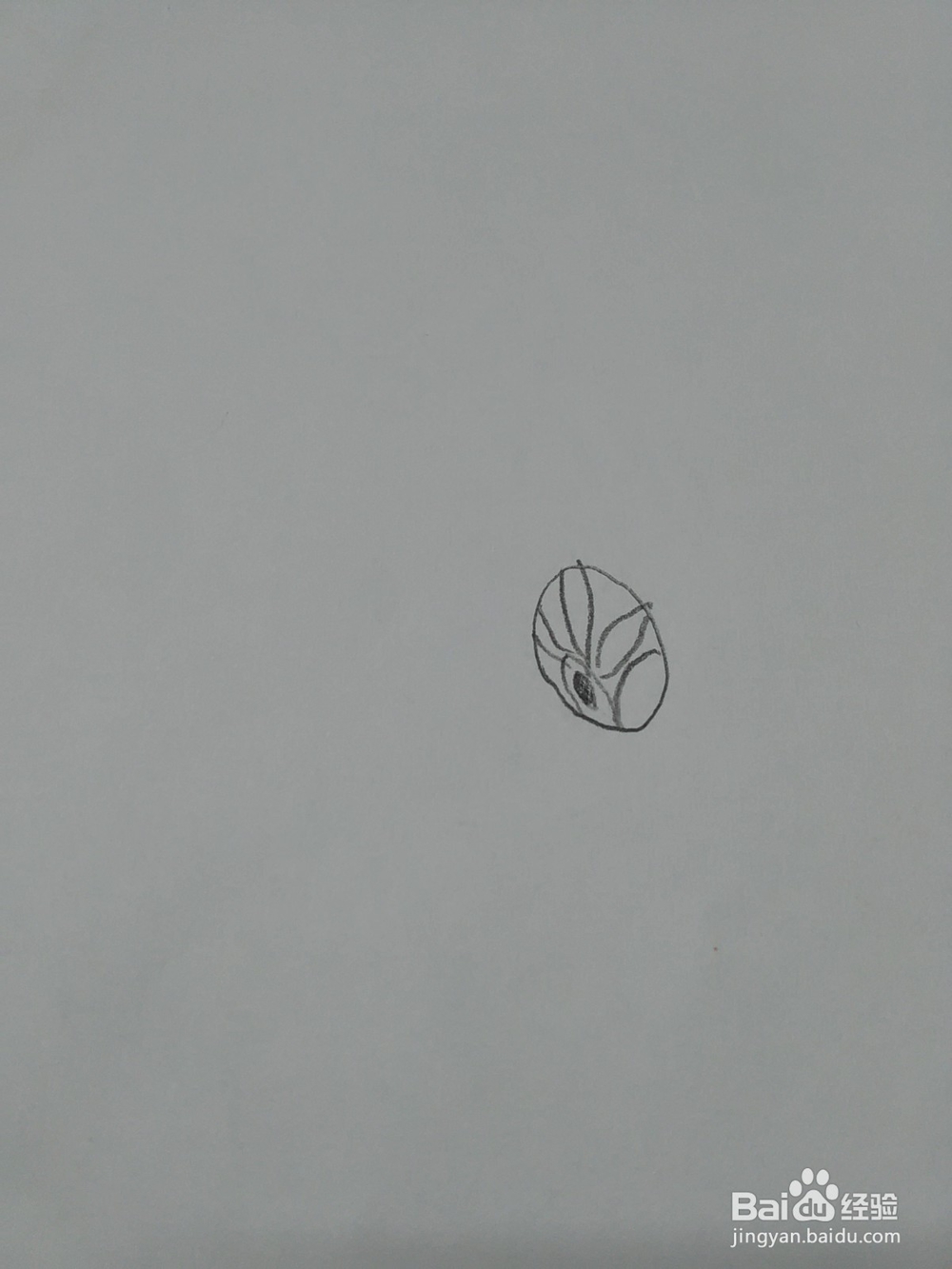 猪猪侠火焰鹤怎么画