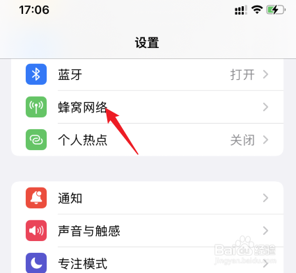 苹果网络怎么切换4g