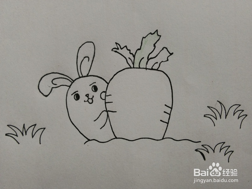 简笔画——怎么画小兔子和胡萝卜
