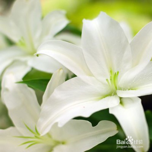 如何让香味持久一整天