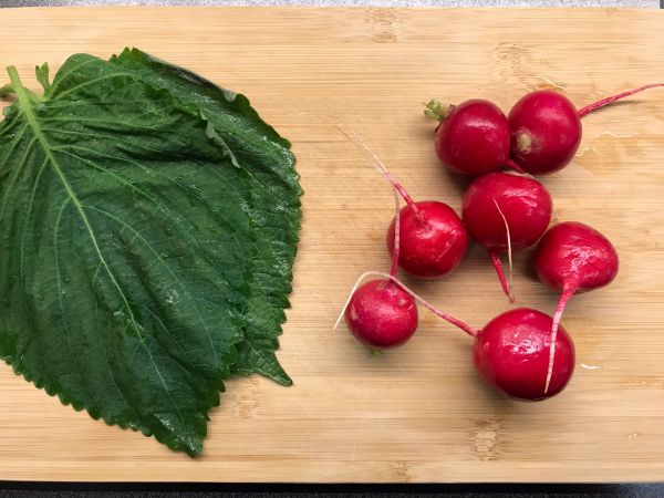 15分钟酸甜萝卜