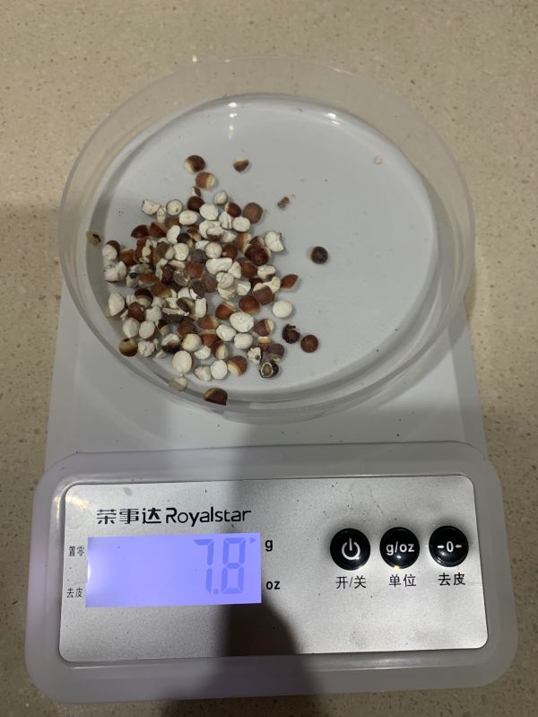 鲍鱼花菇玉竹煲排骨