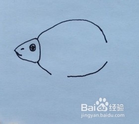 鱼的简笔画怎么画？