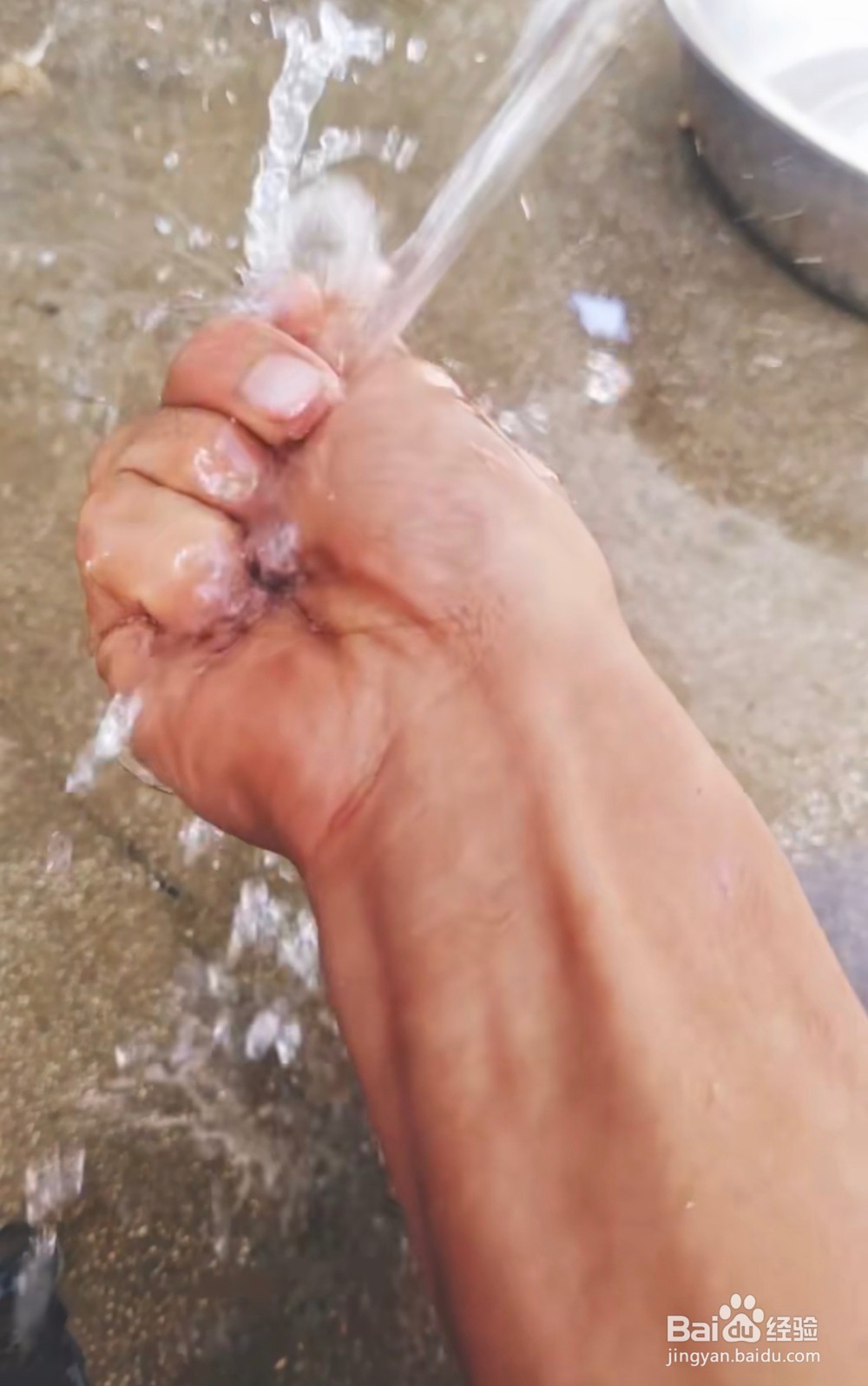 怎么样种植柿子