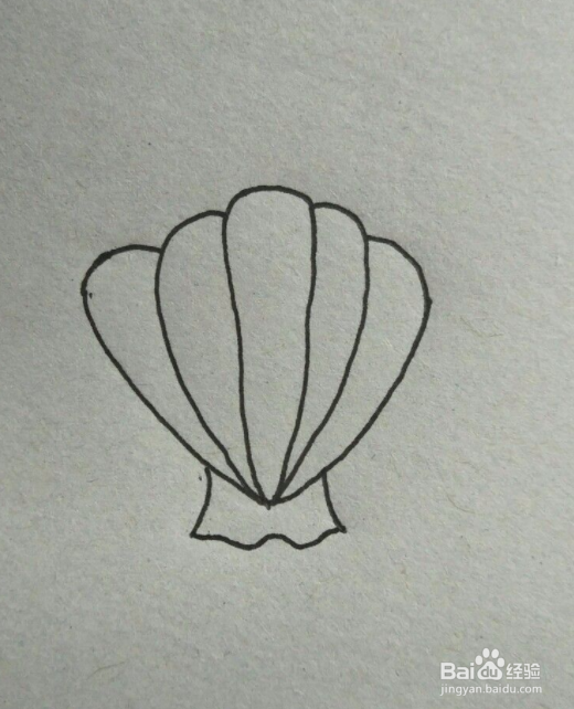 扇贝简笔画教程