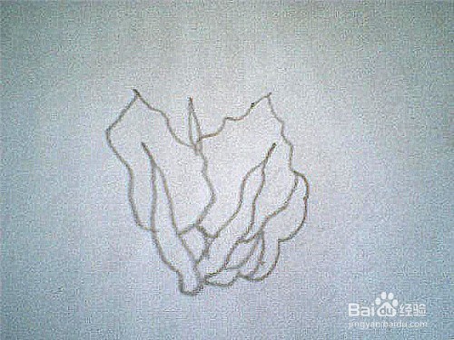 简笔画菠菜的画法