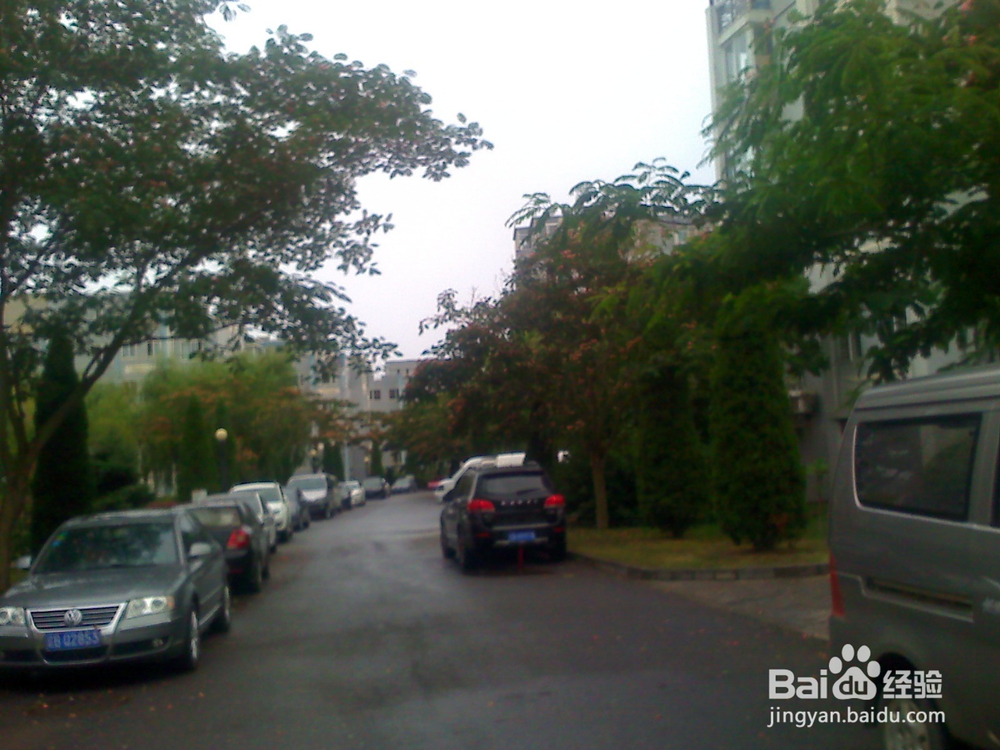 怎样告诉孩子安全过马路--25