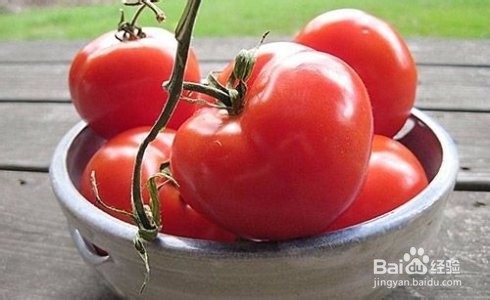 哪些蔬菜有毒不能吃呢