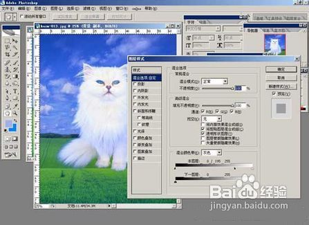 PS抠图的详细步骤