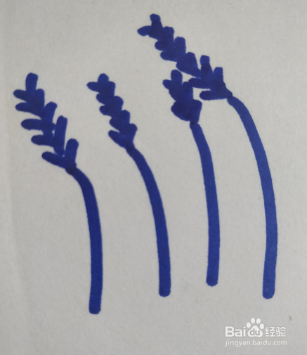 芦苇丛的简笔画怎么画?