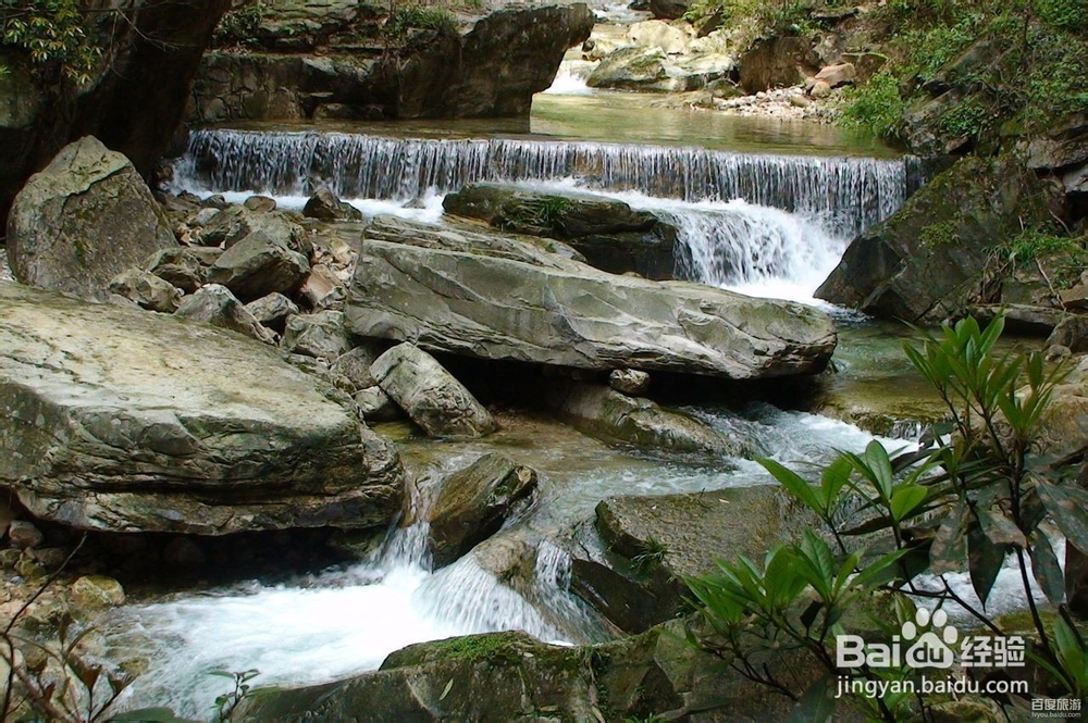 东营到张家界旅游攻略