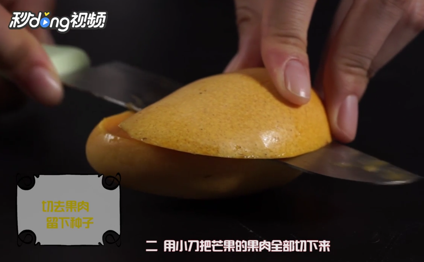 如何栽种芒果种子小盆栽