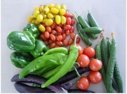 老年人预防脑梗