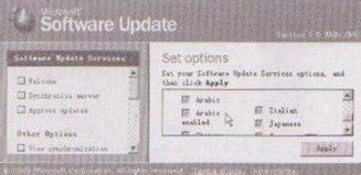 系统配置SUS的操作步骤