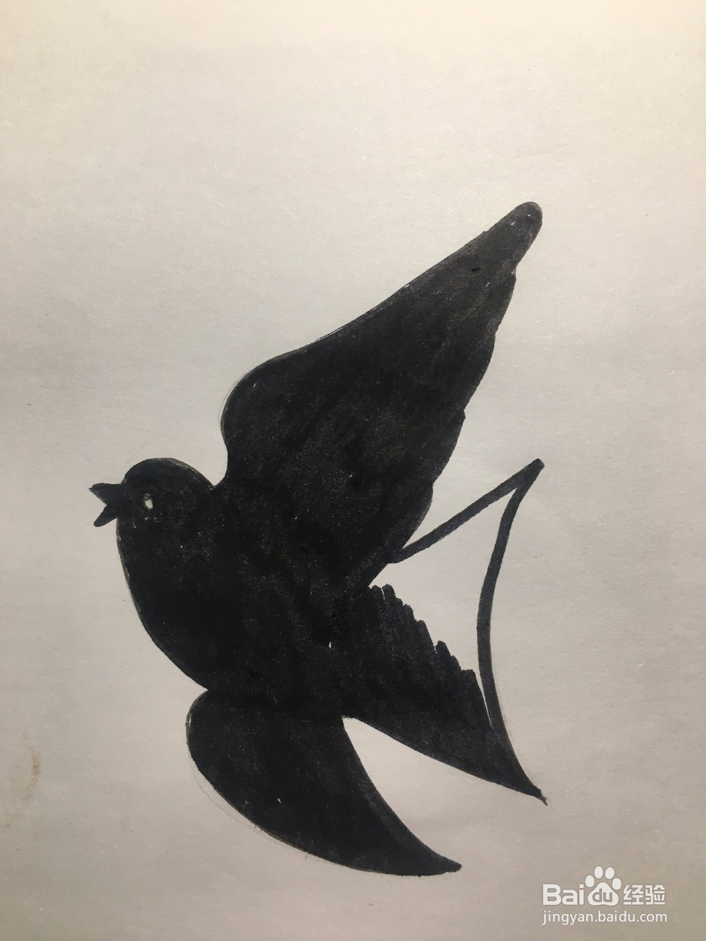 儿童美术 鸽子简笔画 鸽子涂鸦画