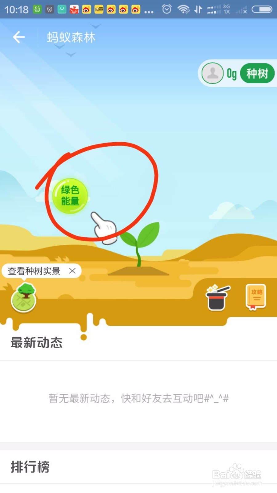 支付宝里面怎样种树