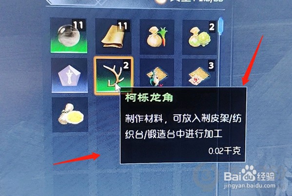 太荒初境柯栎龙角获得方法