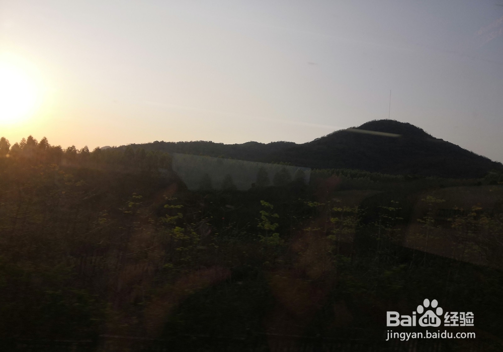 海口东站乘坐指南