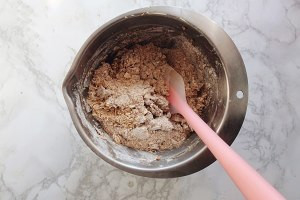 全麦燕麦饼干