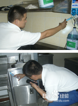 家中的蟑螂要怎样消灭?