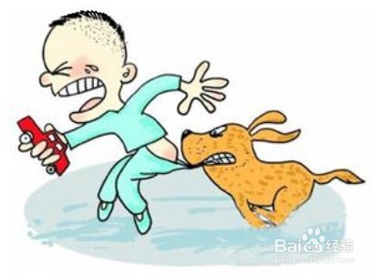 被宠物咬伤后的正确处理方式