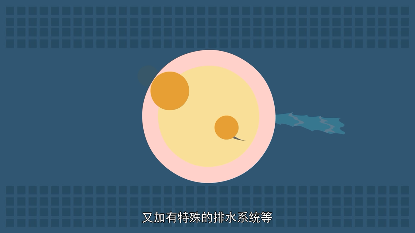 海绵动物为什么是动物进化史上的盲端