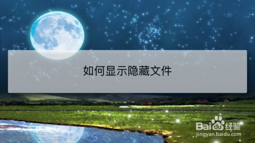 如何显示隐藏文件