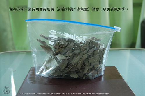 香烟袅袅鼠尾草焚香法