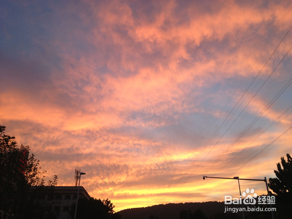 在校内去哪儿锻炼身体？（江苏师范大学）