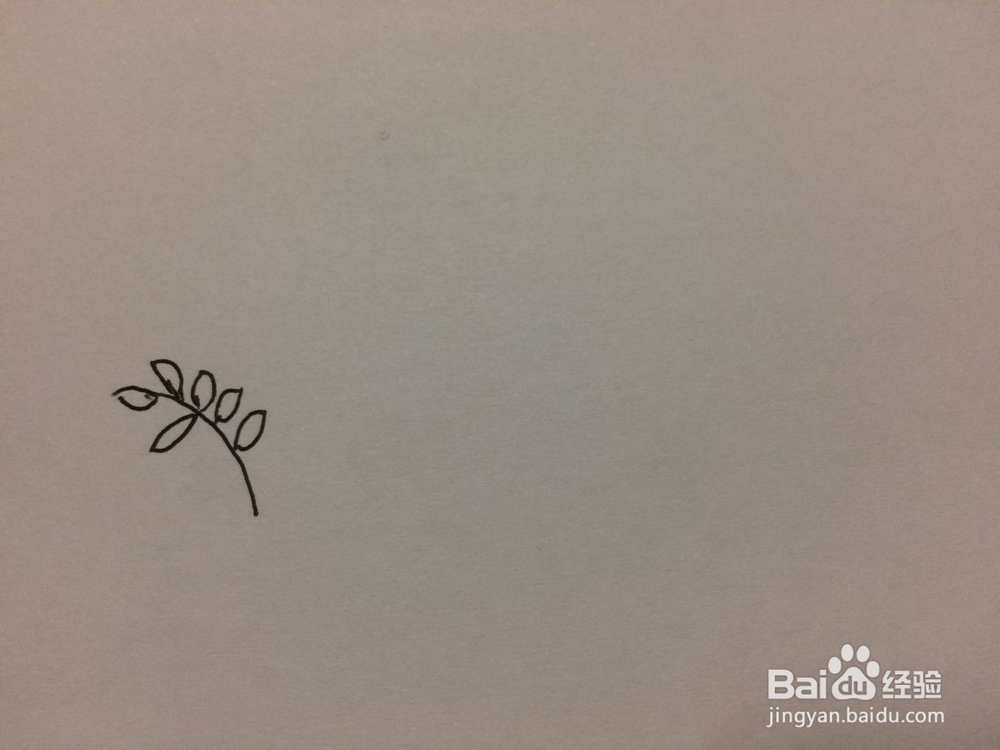 黑板报小花插图的画法