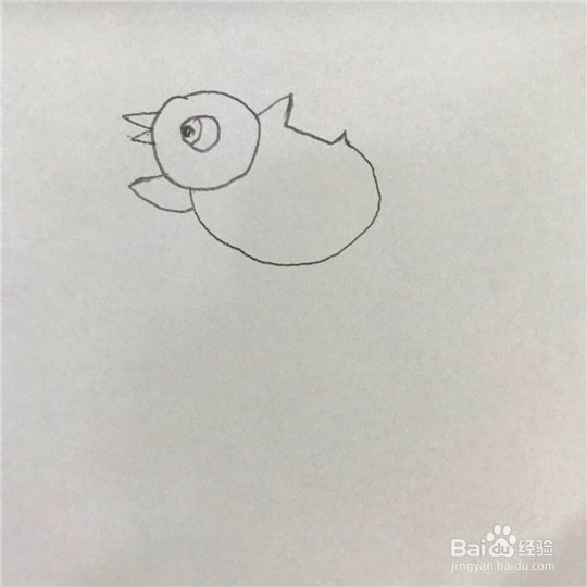 小鸡的简笔画画法