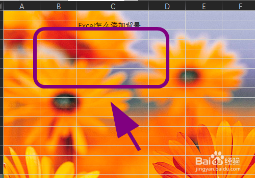excel怎么添加背景,给表格设置背景