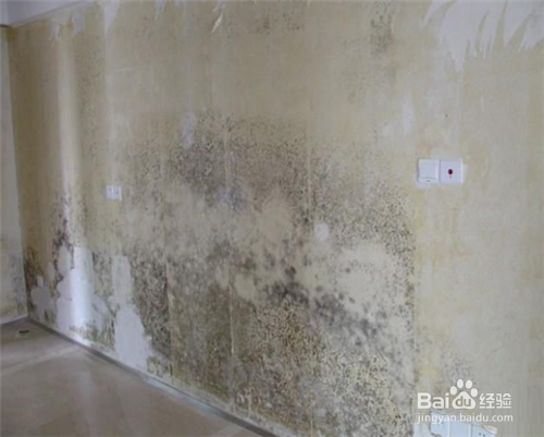 房间墙壁发霉怎么处理
