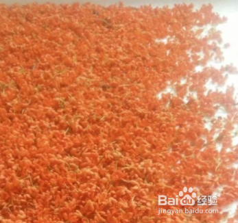 桂花怎么做成香包